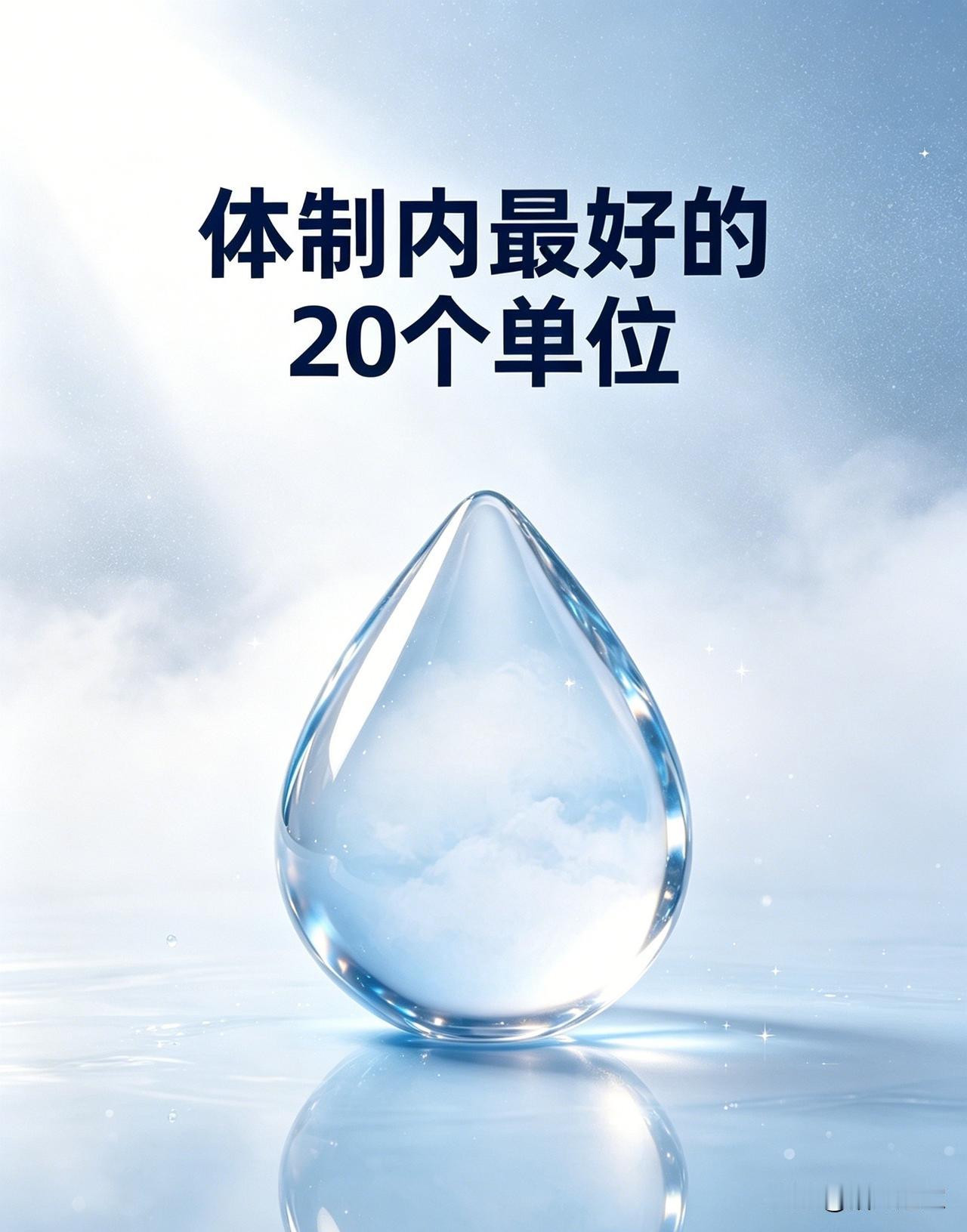 体制内最好的20个单位:1、党校2、财政局3、税务局4、教育局5、法