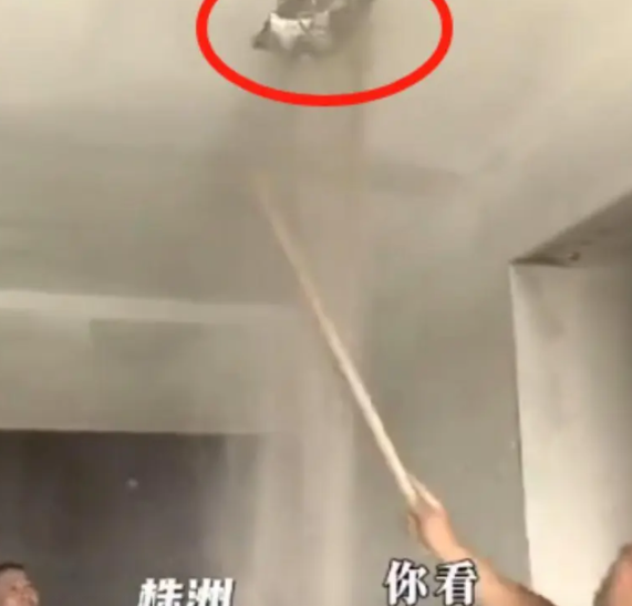 严惩！湖南株洲，男子刚买的新房，拿棍子直接把楼板捅出了1个大洞！男子慌了：这要是
