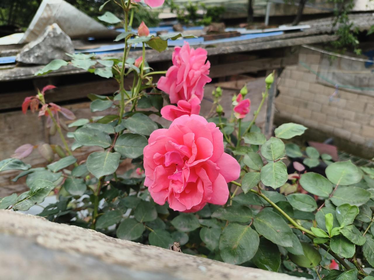 中小学教师工资：中小学教师工资包括三部分：一薪级工资二职称工资（岗位工资，