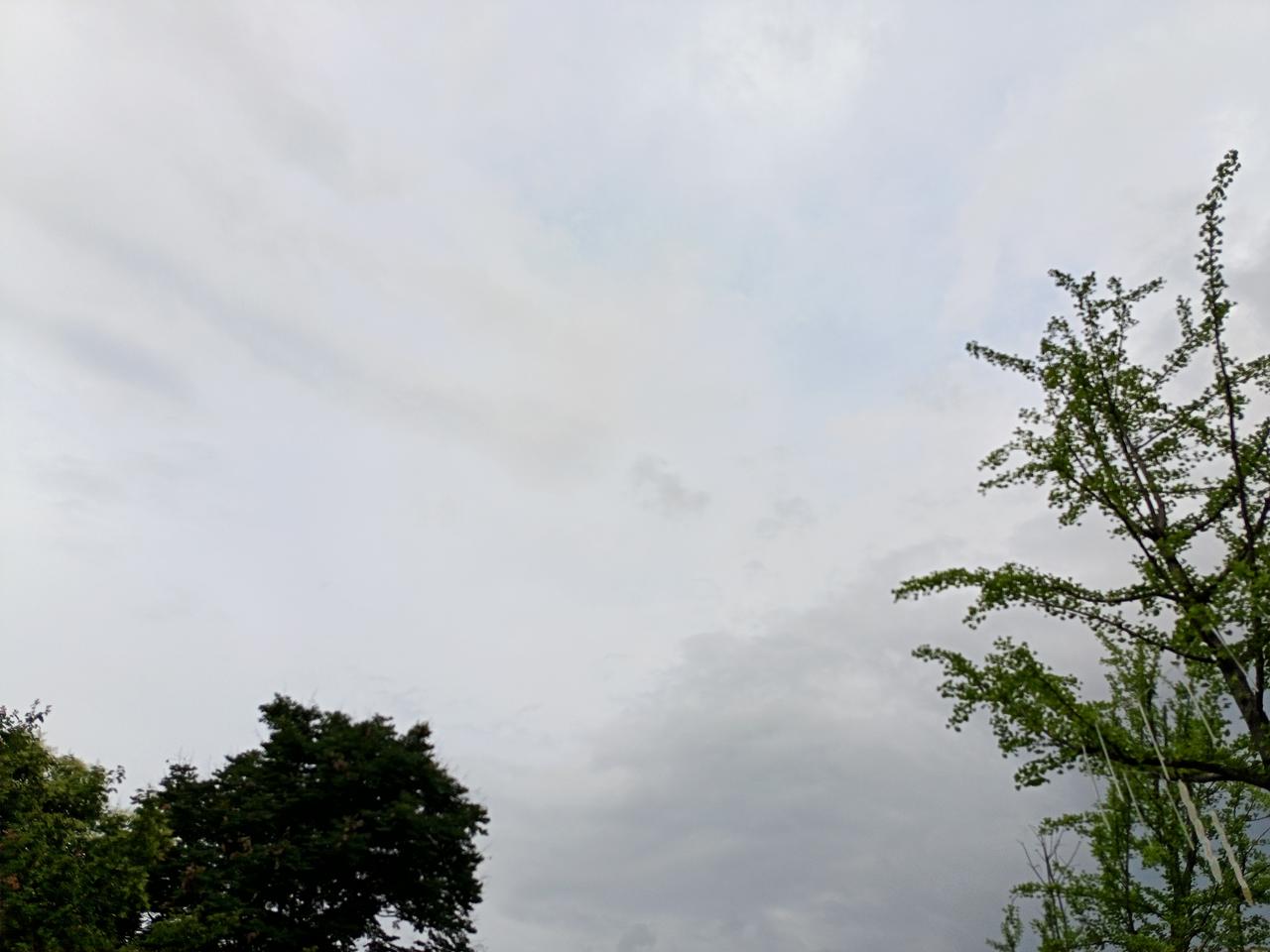 听说隔壁村大娘年轻的时候，为人非常的恶毒，不好相处，不管是跟邻居还是自家兄弟都相