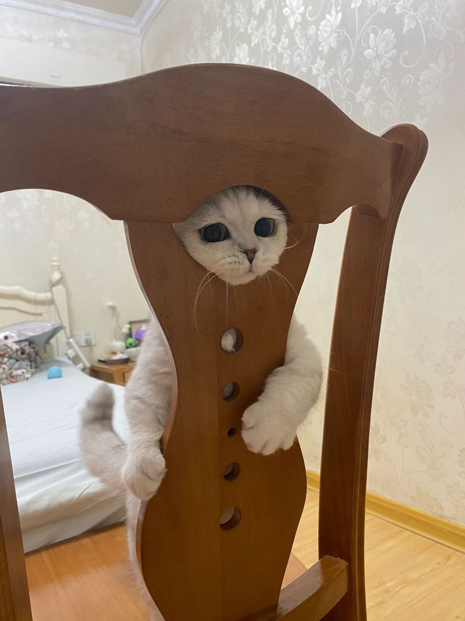 麻麻，真的是拖鞋先动手的！(●'◡'●)