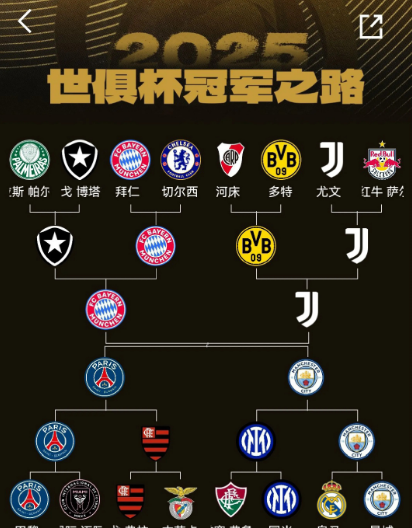 不出意外，这就是世俱杯淘汰赛的对阵图了。四强基本就是拜仁，巴黎，尤文，曼城了。