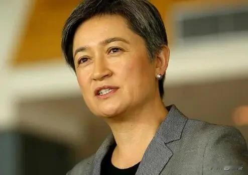 菲律宾在南海挑衅中国主权遭到强力反击后，澳大利亚那位华裔外长黄英贤蹦出来：向菲律