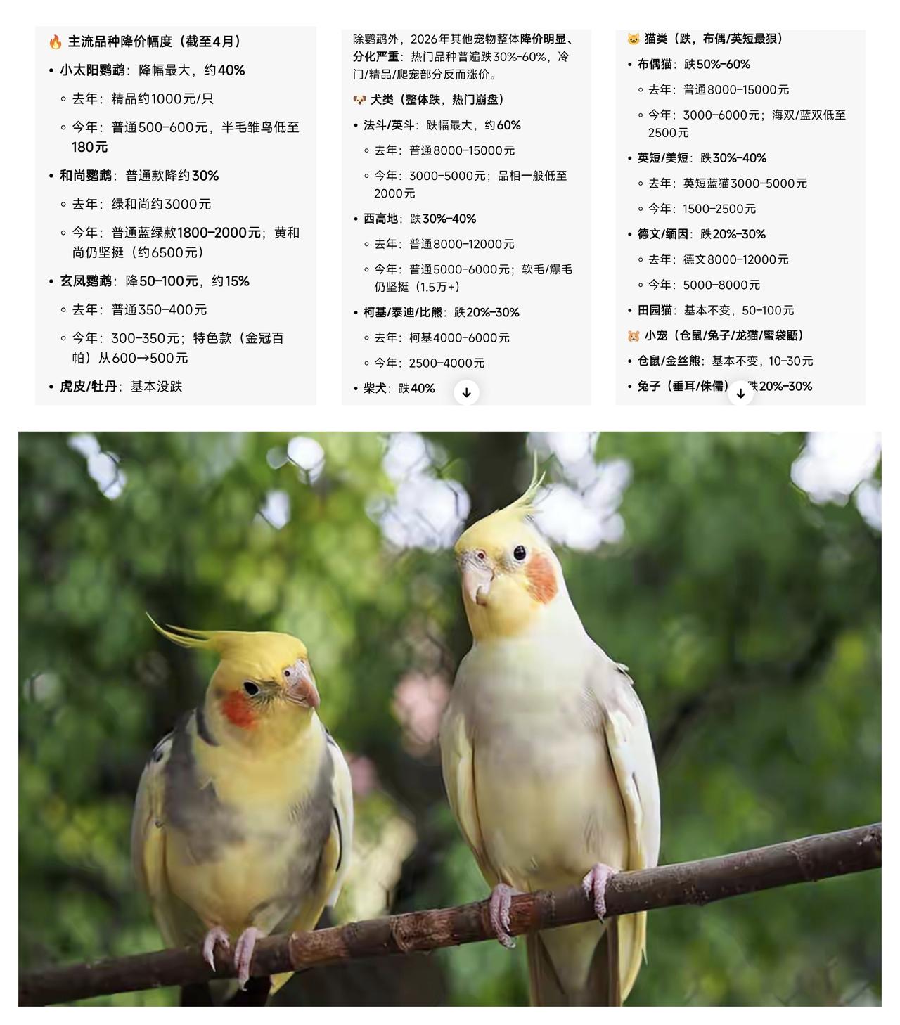 ✨鹦鹉价格又下降了✨🐼贫道养了几只鹦鹉，现在发现，很多原来很贵的鹦鹉。鹦