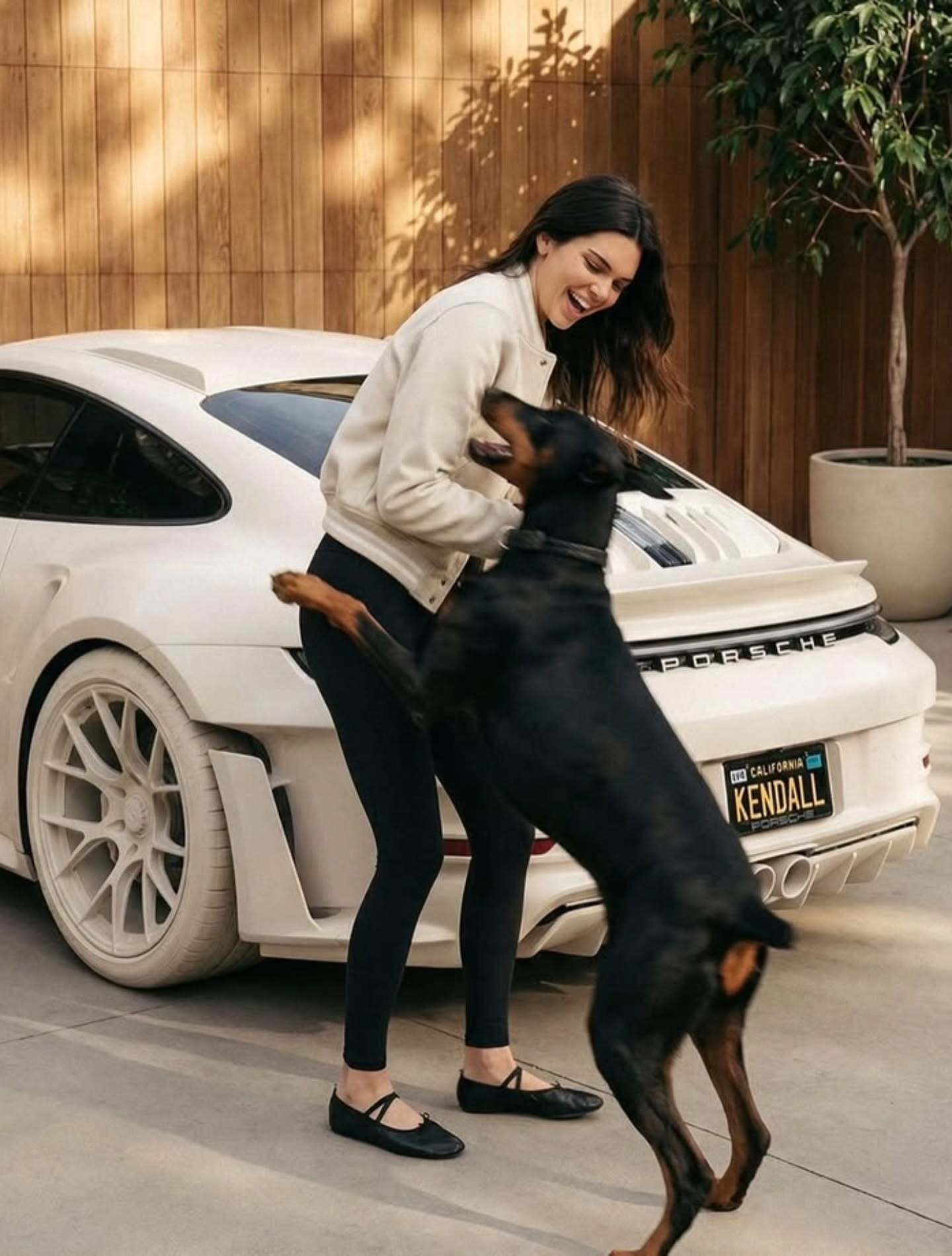 肯豆kendall与那些年的狗狗