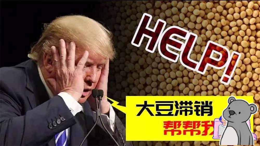 快报！快报！特朗普：如果中国不进口美国大豆，放宽稀土出口，美国可能会将中国