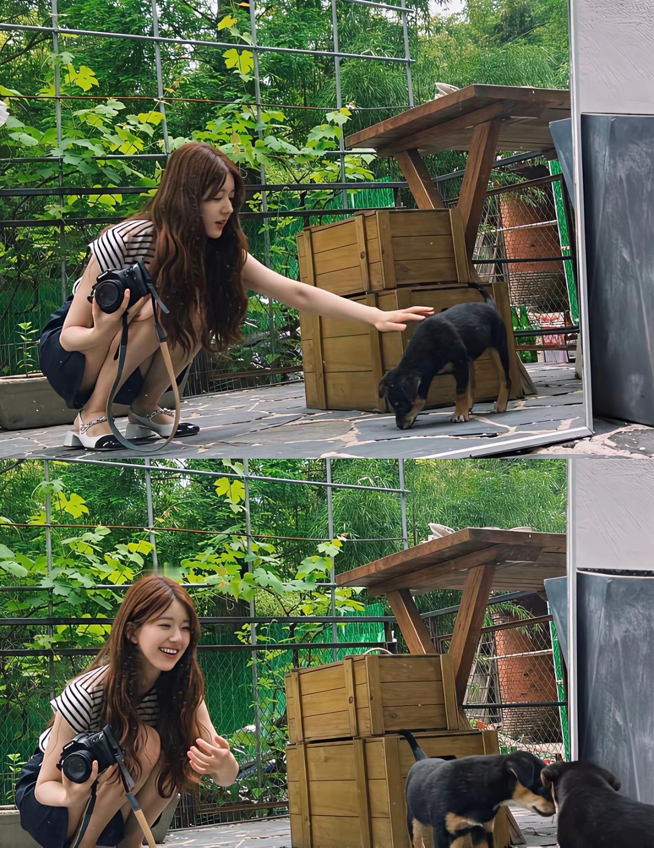 我去这个图我还真没见过