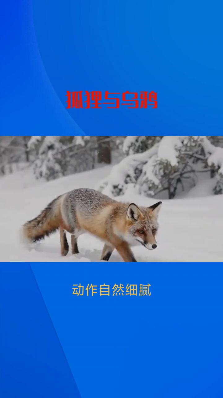 狐狸与乌鸦。寓言故事：抓狸与乌鸦。·第一段：狐狸出现。初心，左右环顾，诱惑将