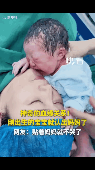 解释不清了！刚出生的宝宝哭得撕心裂肺，怎么哄都止不住。工作人员把宝宝抱到妈妈身旁