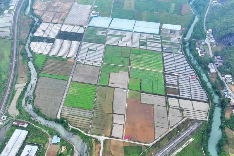 如果农民交出土地，谁来管理农民把土地交出去之后，管理的主体有不少情况呢。在村子