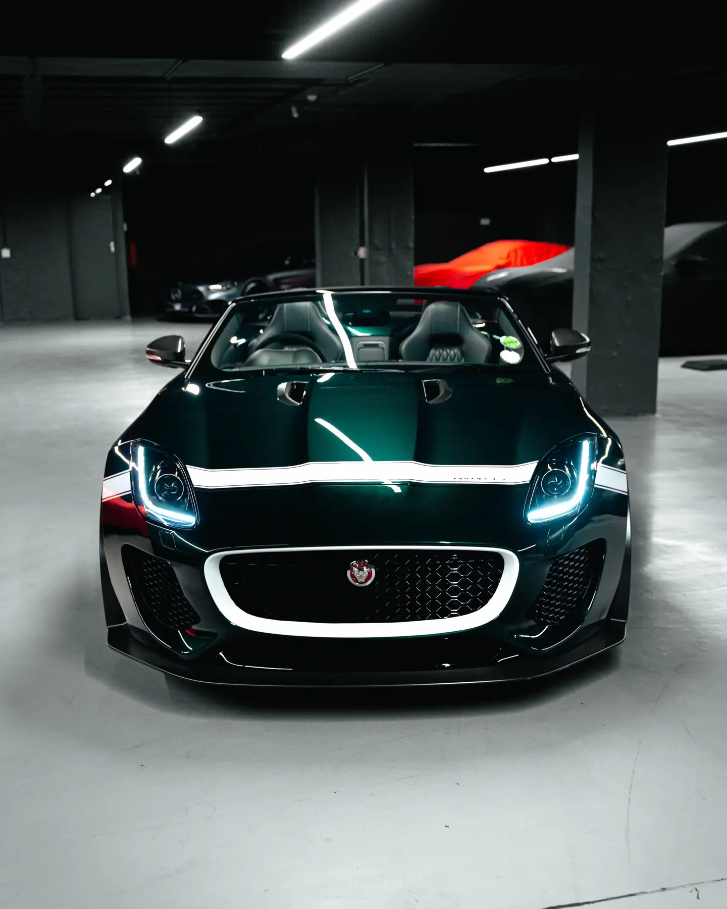 Jaguar Project7。