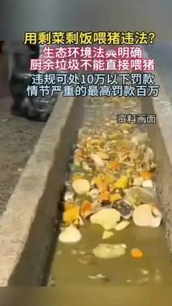 “农村用泔水喂猪，最高罚100万！”8月15日新规一落地，不少养猪户一下坐不住了