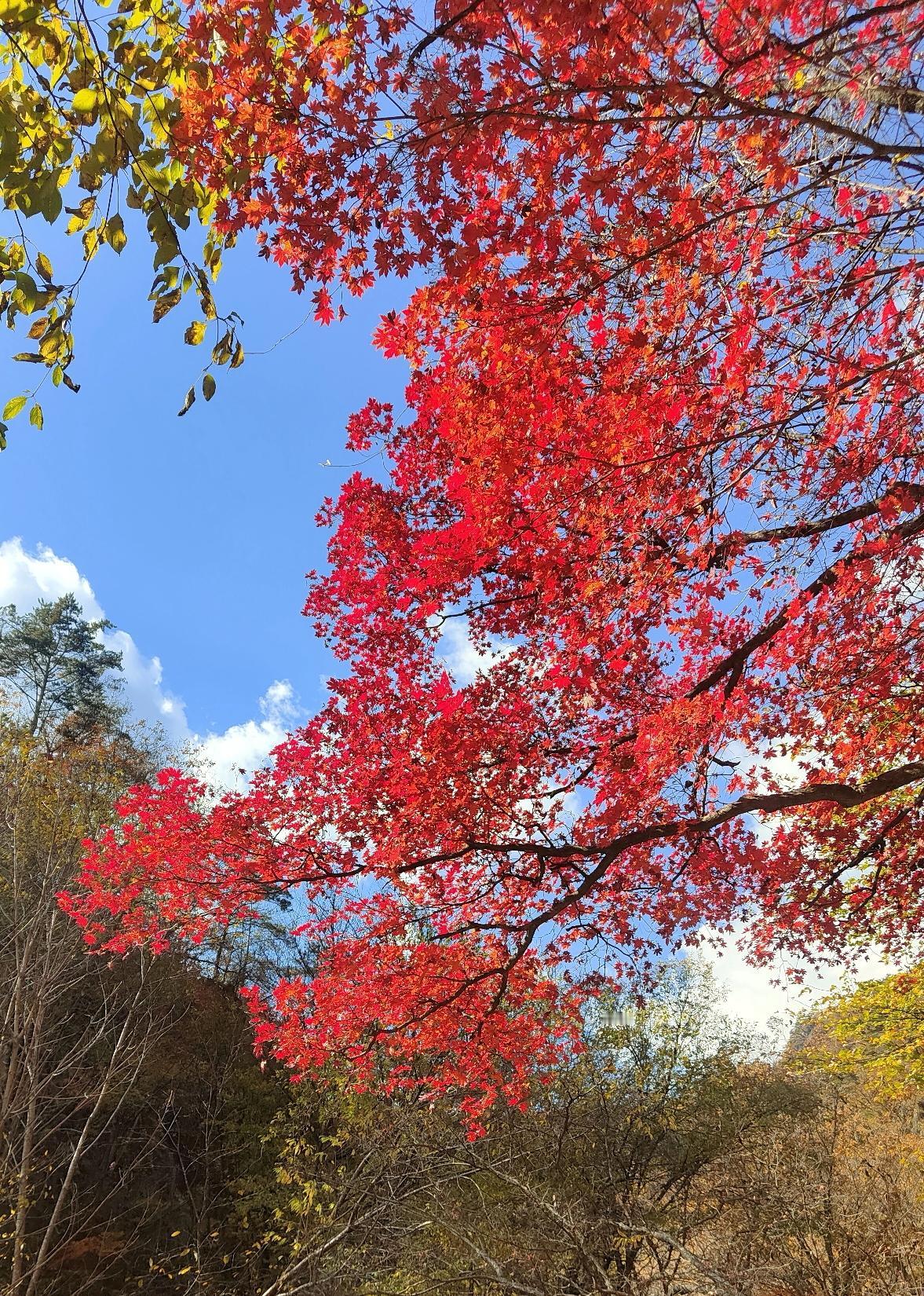 分享一张绝美的风景照片