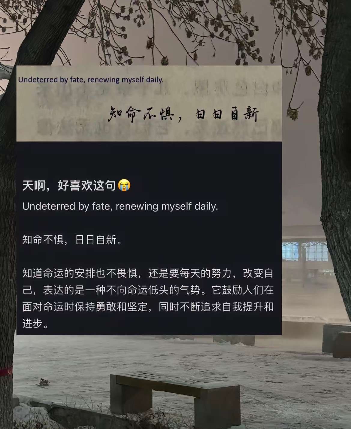 醍醐灌顶😭瞬间被这段话狠狠点醒了
