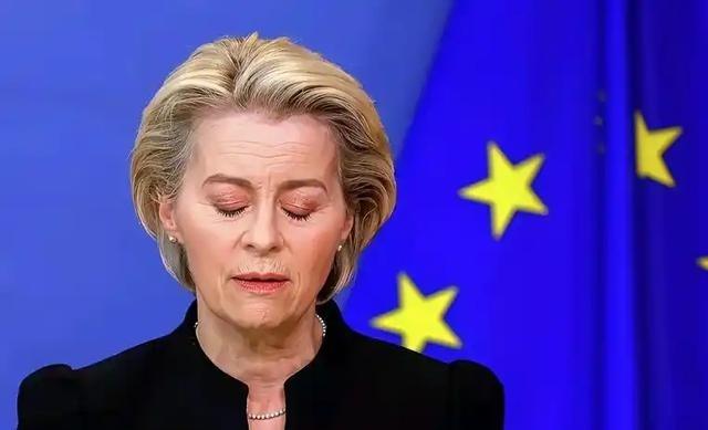 欧洲突然妥协了，泽连斯基心寒了，1月22日下午5点，欧盟委员会主席冯德