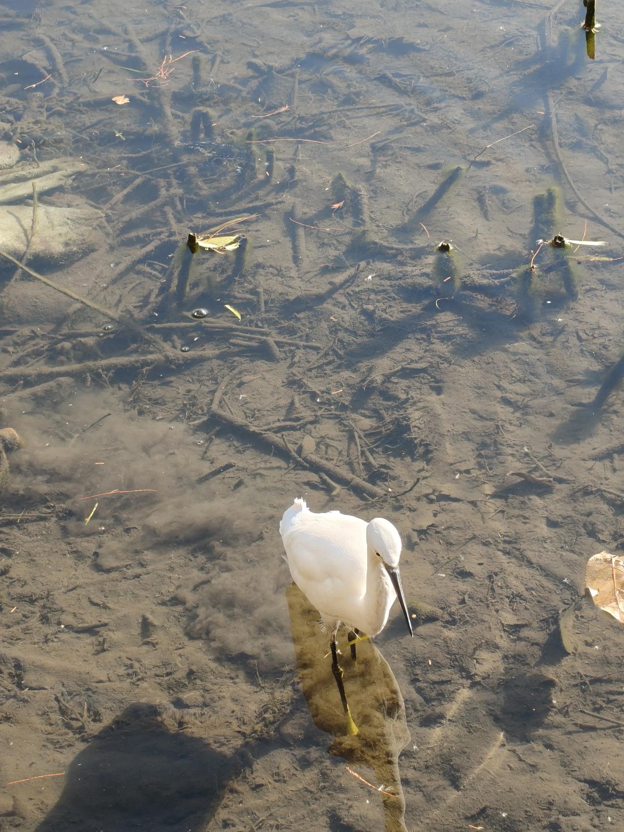冬日美景随手拍实景图分享！鲁迅公园走一圈～🚶🏻‍♀️🚶🏻‍♂️