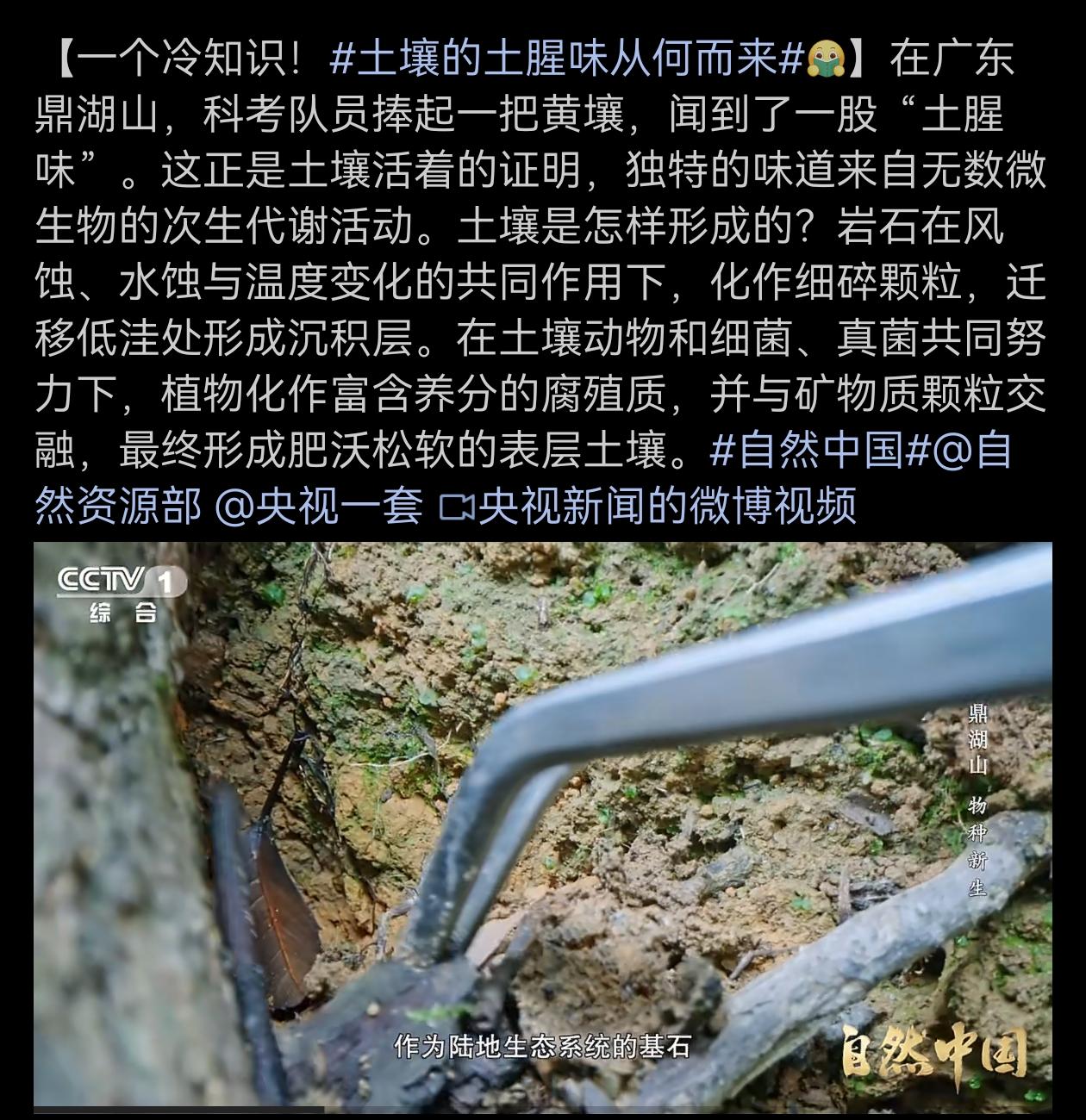 原来泥土发着土腥味，就是活着的证明。