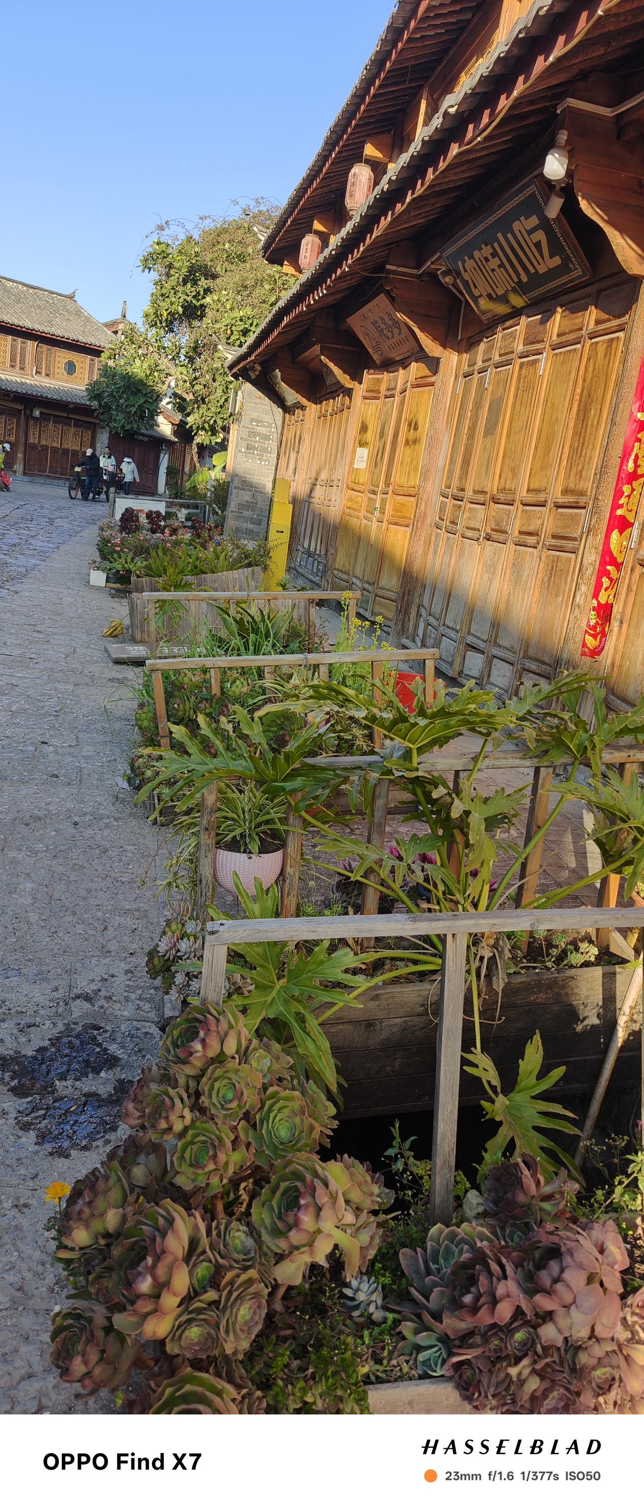 南自驾D10：玉龙雪山“失约”，梅里雪山“替补”登场！今天的主打歌，必须是“