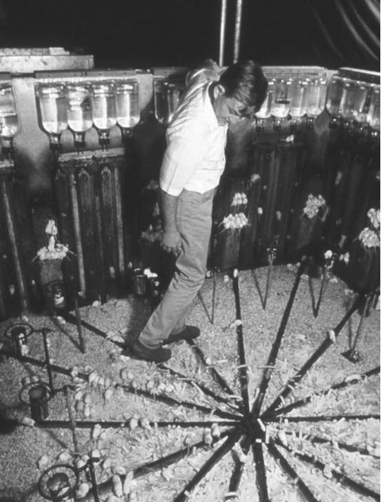 1968年，霍恩做过恐怖无比的实验，就是在一个没有天敌，没有疾病，食物和水都无限