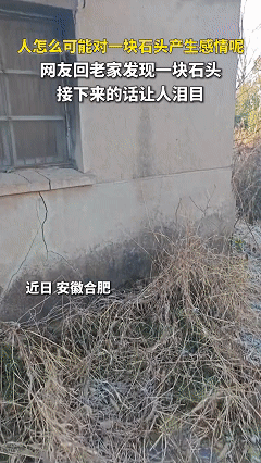 看哭了！近日安徽合肥，临近过年男子回到久久未回的农村老家取东西，没想到看见了地上