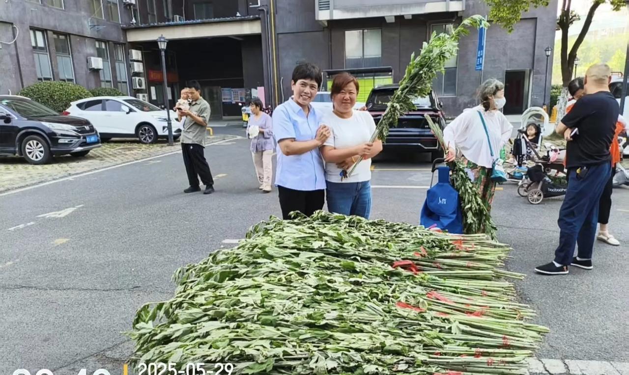 端午老闲谈：一，端午午时，不要外出，在家睡觉，这叫“躲五毒”。二，端午问语—