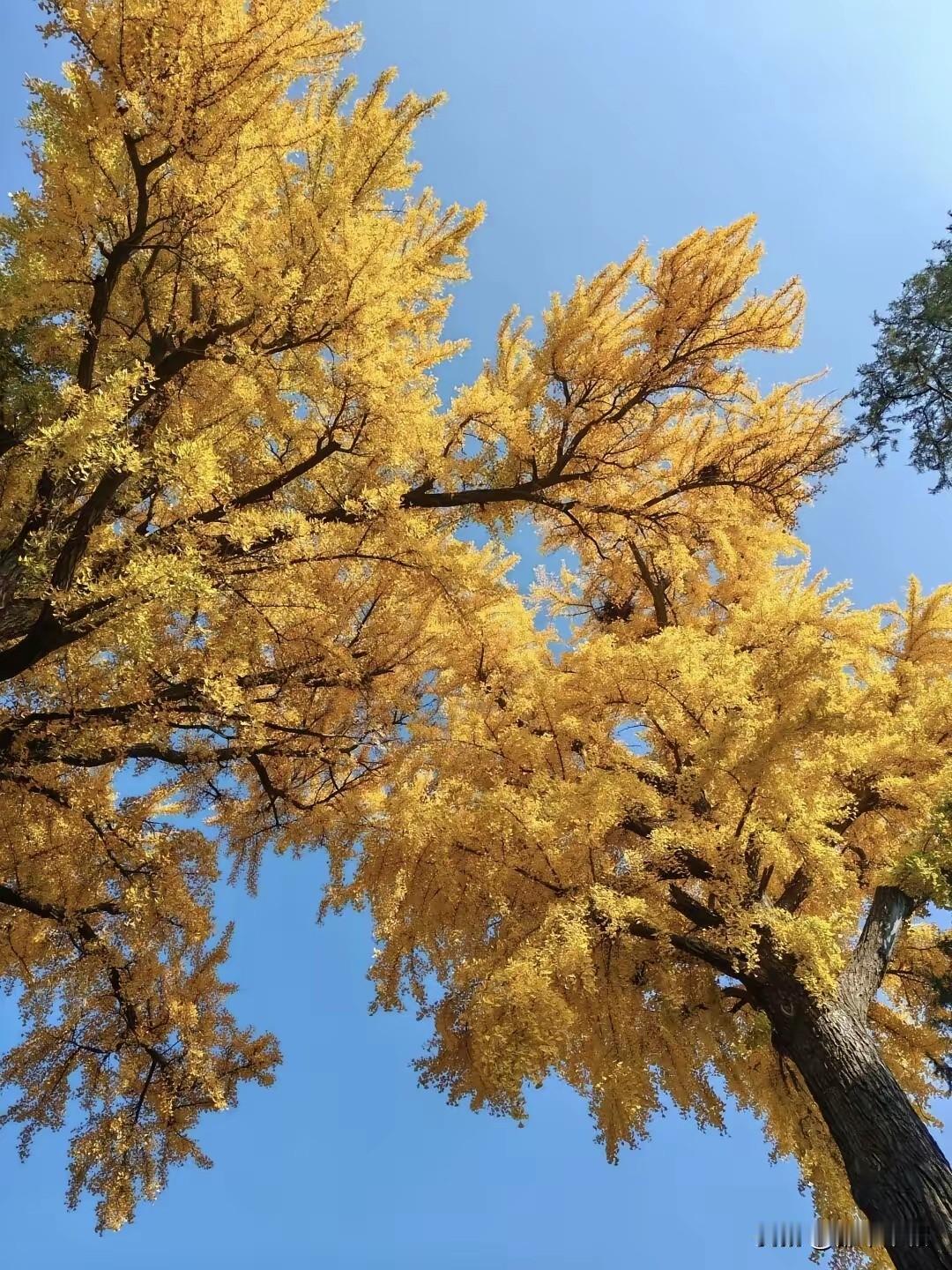 老家同事来电话，吐槽一个奇葩女孩。还说你们杭州人都这么不讲究吗。我说我也不是土生