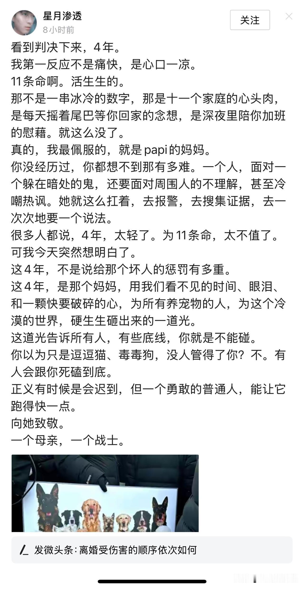 北京朝阳区畅颐园小区下毒死狗狗的男子张某某被判4年有期徒刑，很多人不服，看来，法