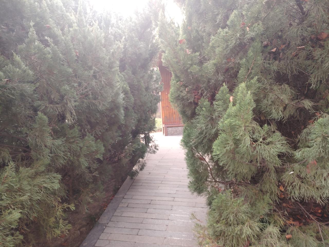 为何有的校长会想出“家长护学岗”“家长护苗队”这类说法呢？我们村在马路东边，村