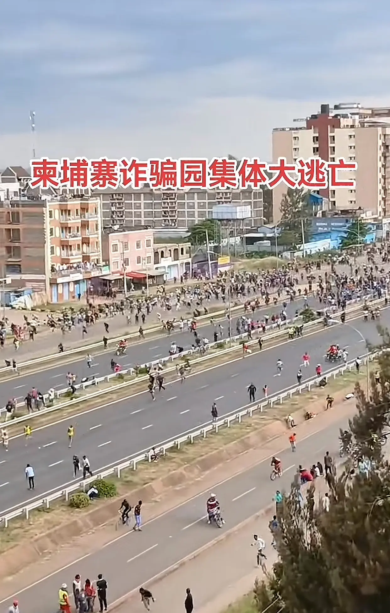发生了什么？战狼来了啊