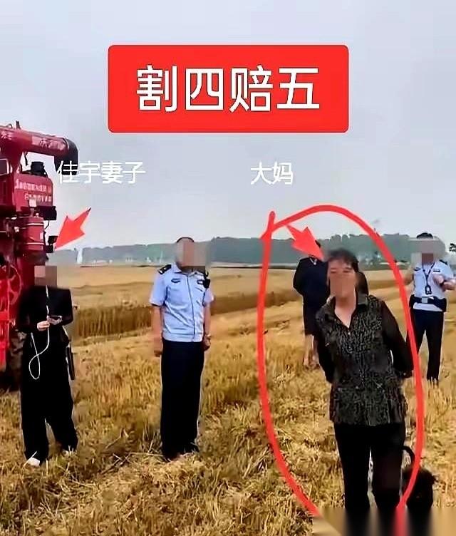最近那个“割四赔五”的事，简直是把人活活气笑了。河南一对小夫妻，开着收割机，连