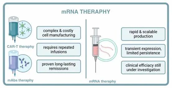 靶向递送——mRNA体内CAR-T疗法的技术突破