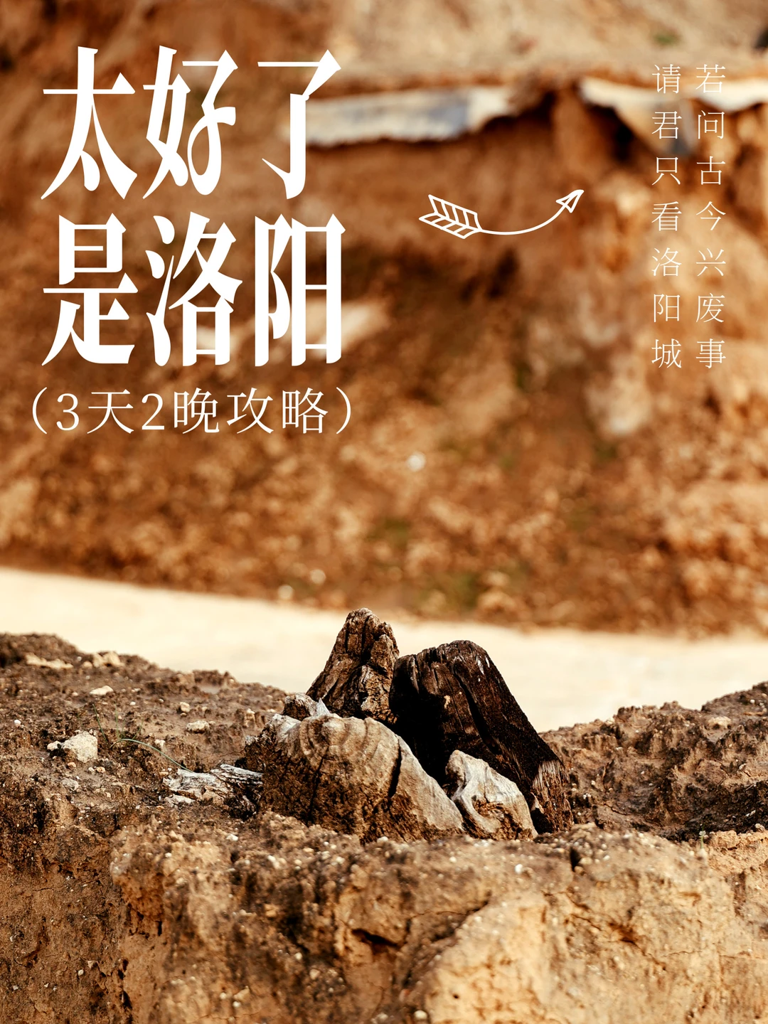 北京-洛阳｜3天2晚不正经攻略