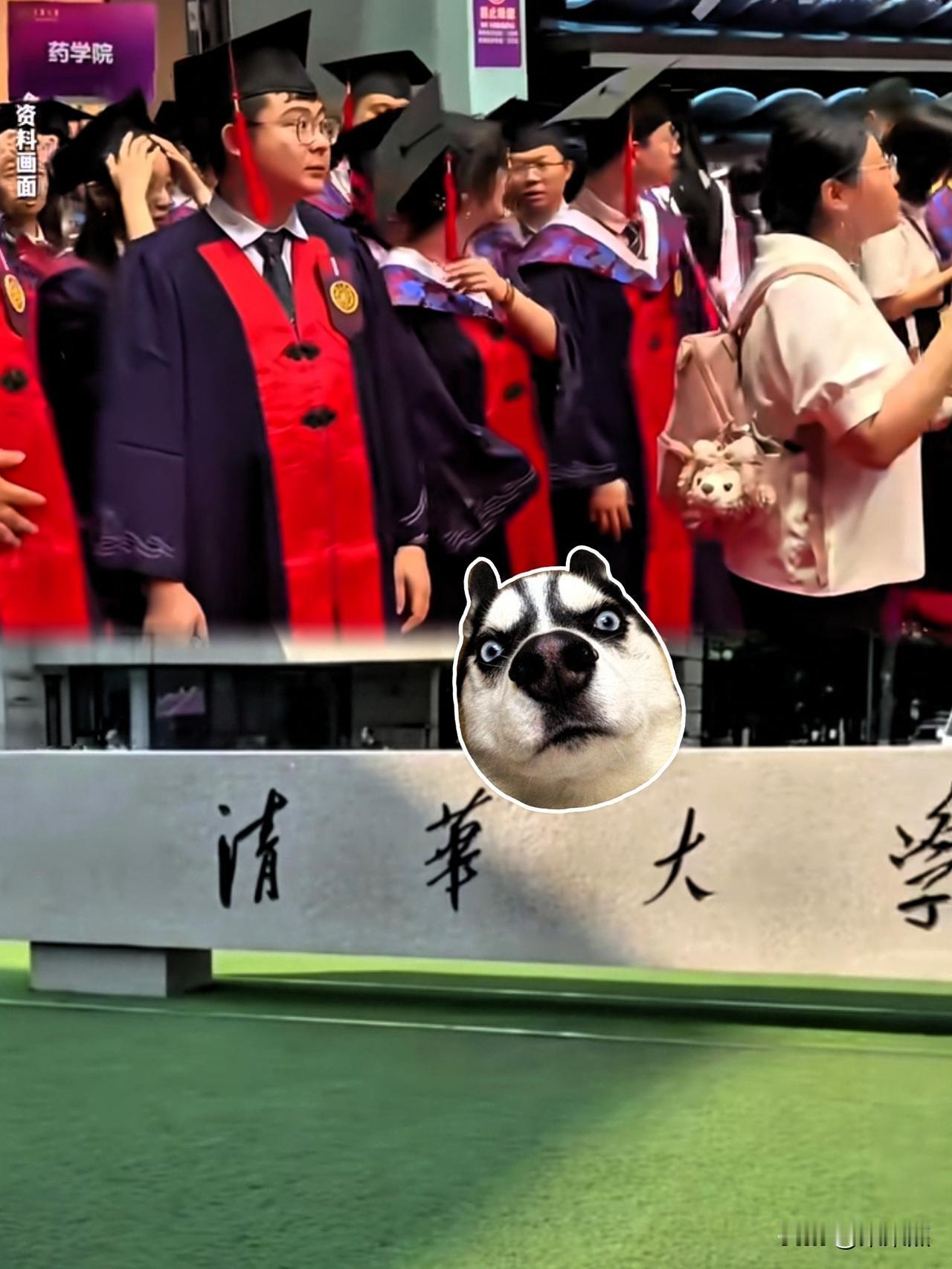 清华博士被退学，我发现了一个扎心的真相听说清华有几个博士没毕业，我一开始