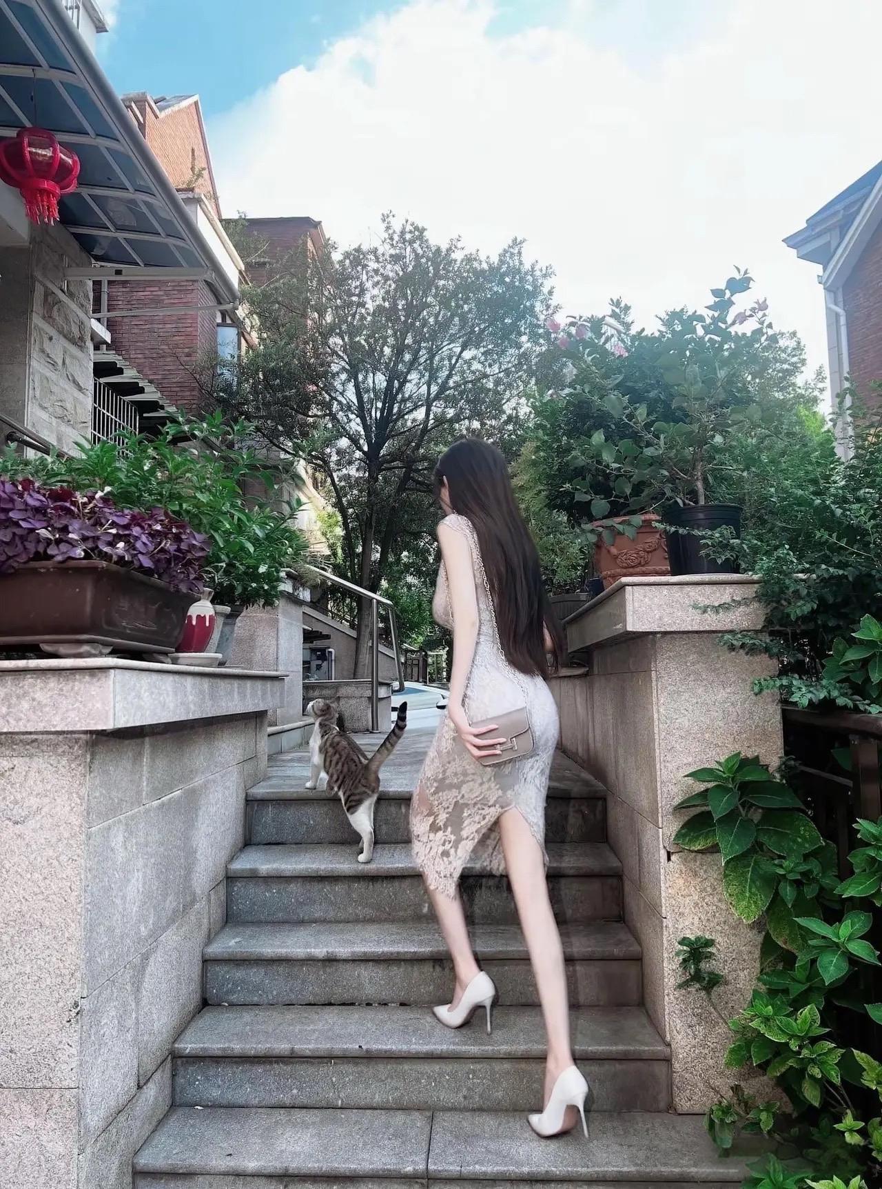 这小猫也太可爱了吧