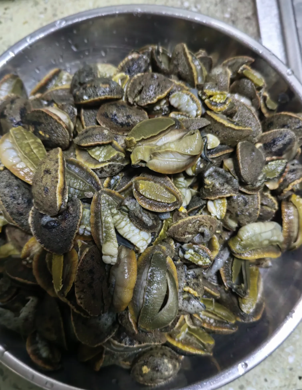 你吃过这个吗？是哪里的美食？第一次见这东西，初次见面感觉瘆得慌…
