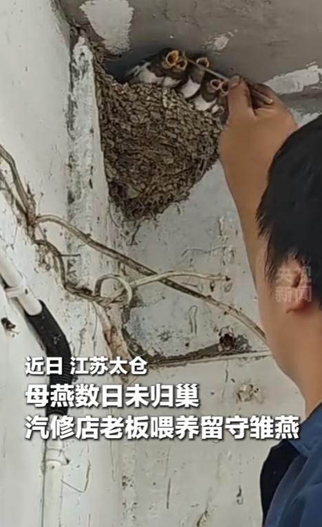 “太暖心了！”2026年5月22日，江苏太仓，一名常年和机油、工具打交道