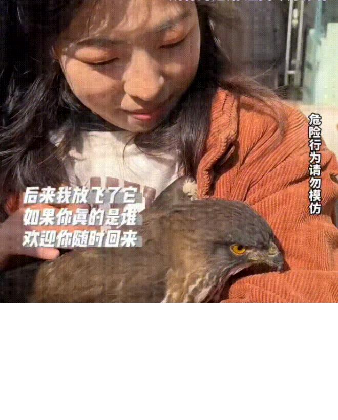 女子正在外边晒太阳，—只大鸟突然飞进了她的怀里，本来以为受伤了，可全身检查了一下