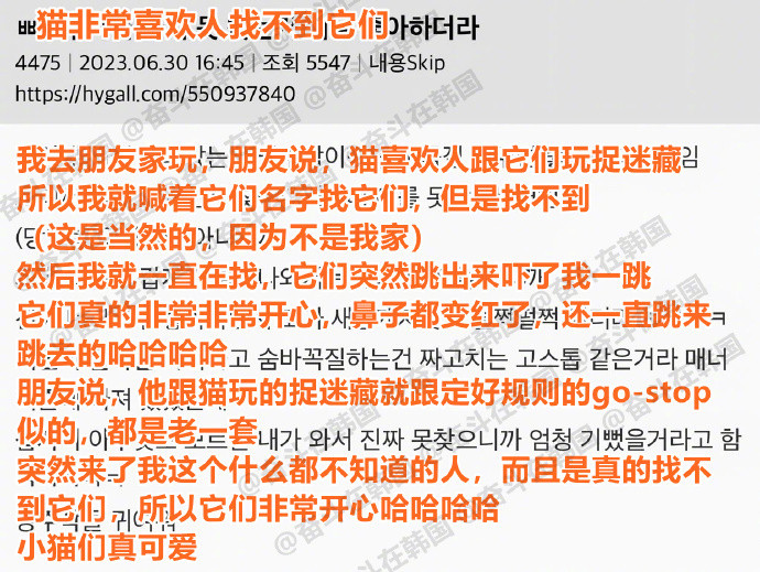 小猫们很喜欢玩捉迷藏​​​海外新鲜事​​​