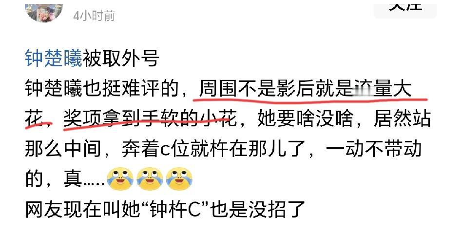 钟楚曦是没啥，这么多年我就记得她一部芳华，可是刘亦菲有什么？她是拿影后了还是拿视
