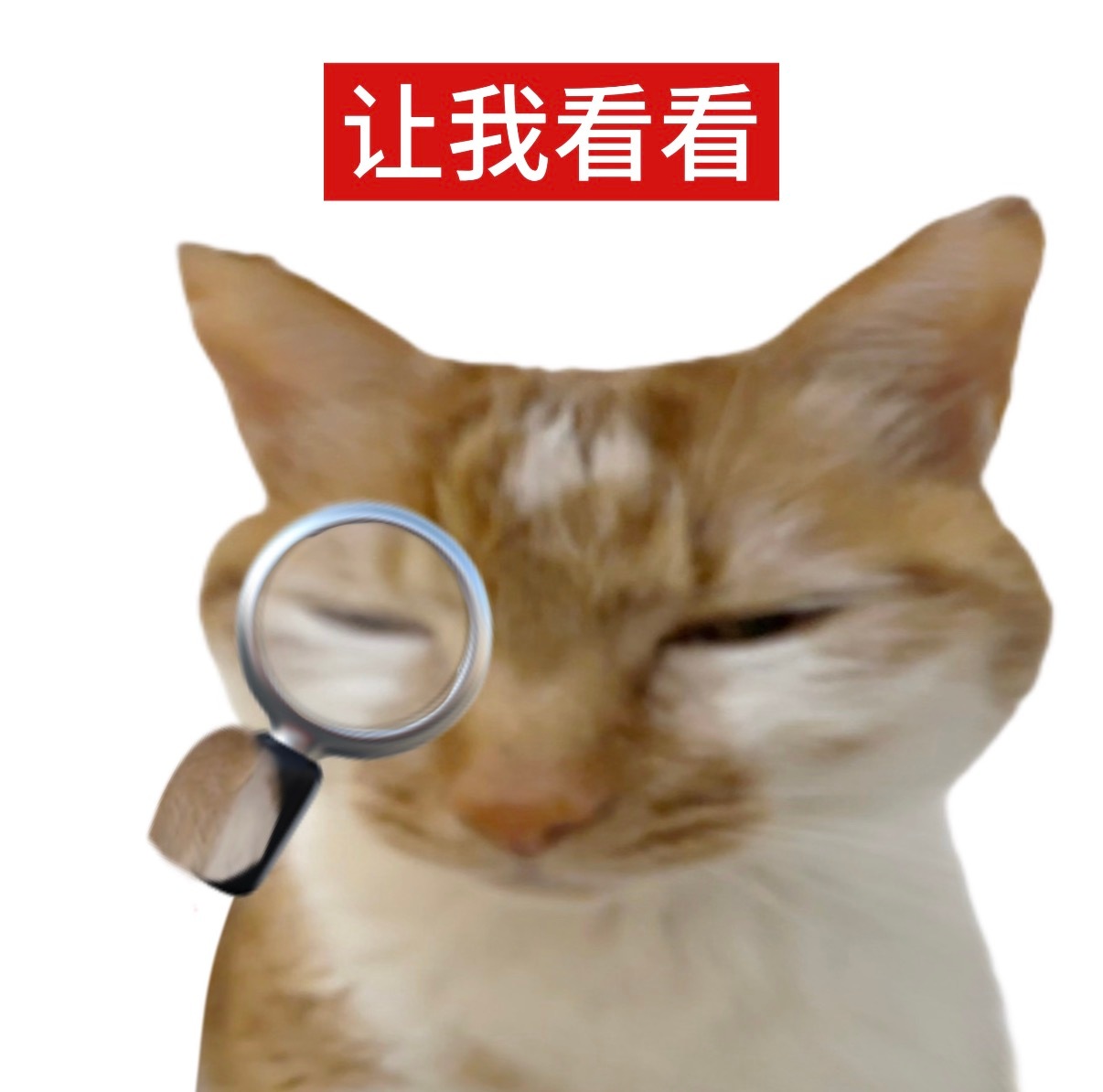 笑不活了，高铁免提打一小时电话这事，官方都出来通报了。10月12日G735次，1