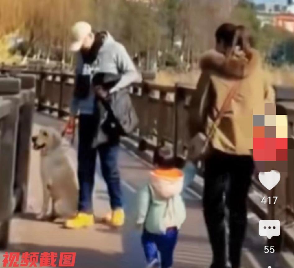 有主人和狗狗遛弯时，迎面突然遇到小孩，此刻狗狗怕孩子害怕，主人立马让它靠边站，看