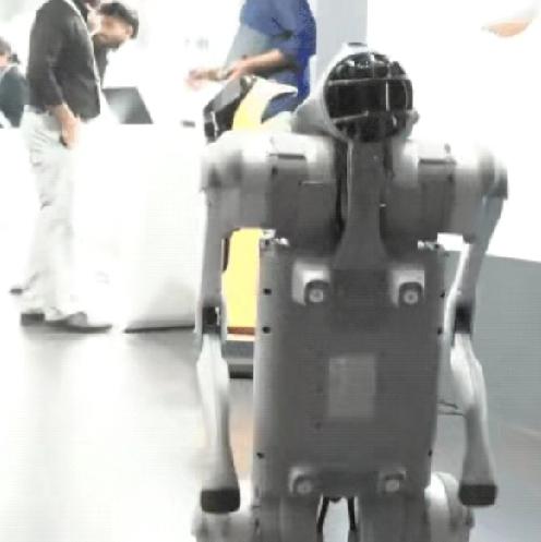 明明是咱们研发出来的狗，印度加尔戈蒂亚斯大学却说是他们研发出来的，2月16日，这