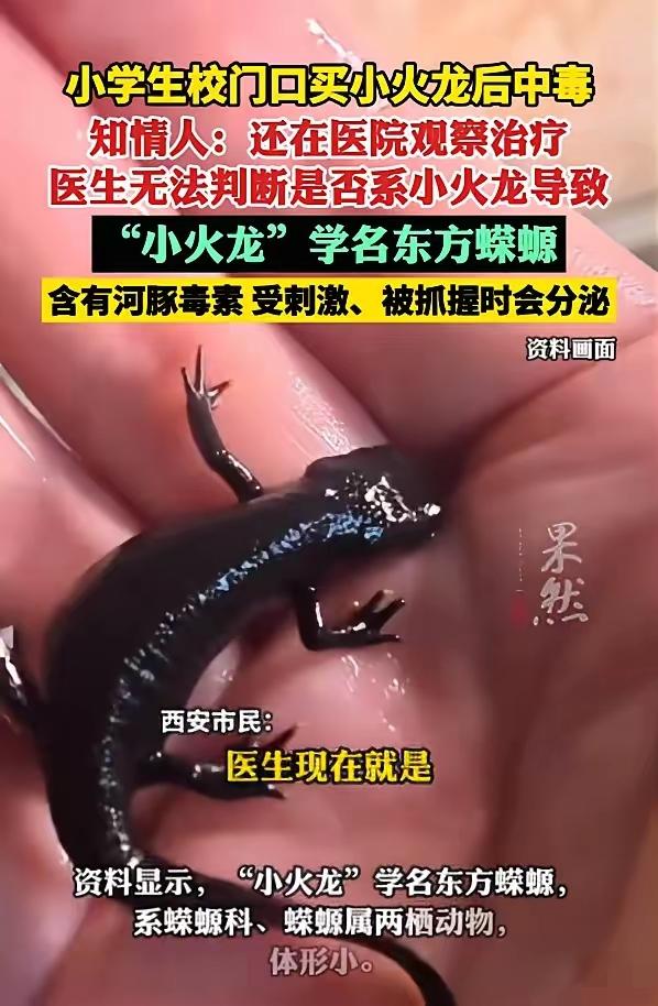 担心的事还是发生了！西安小学生校门口花1块钱买的“小火龙”，玩完直接呕吐住院