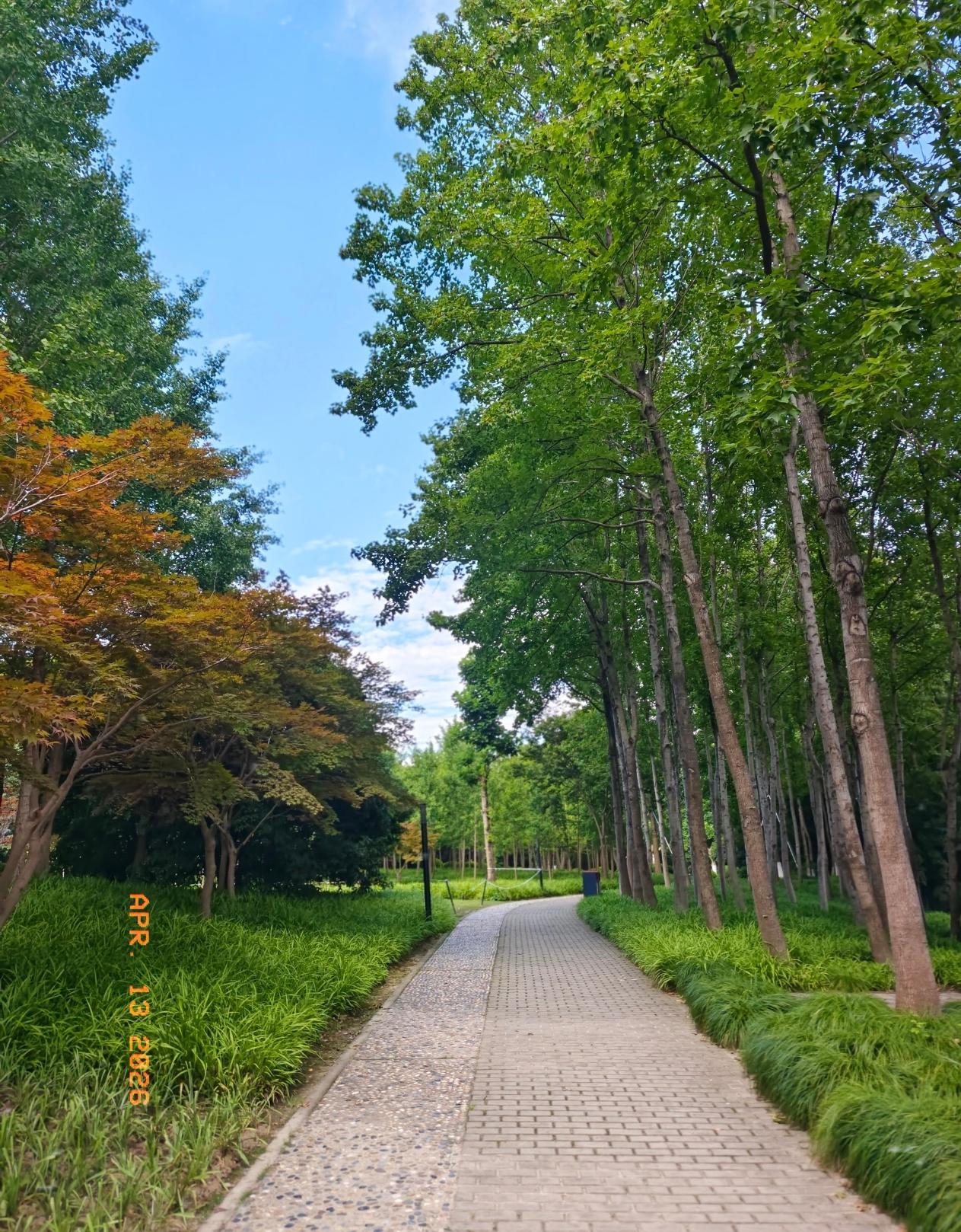 发现没？男人想要平安保命，其实有七种办法，也该清醒明白了。1. 夫妻生活懂得
