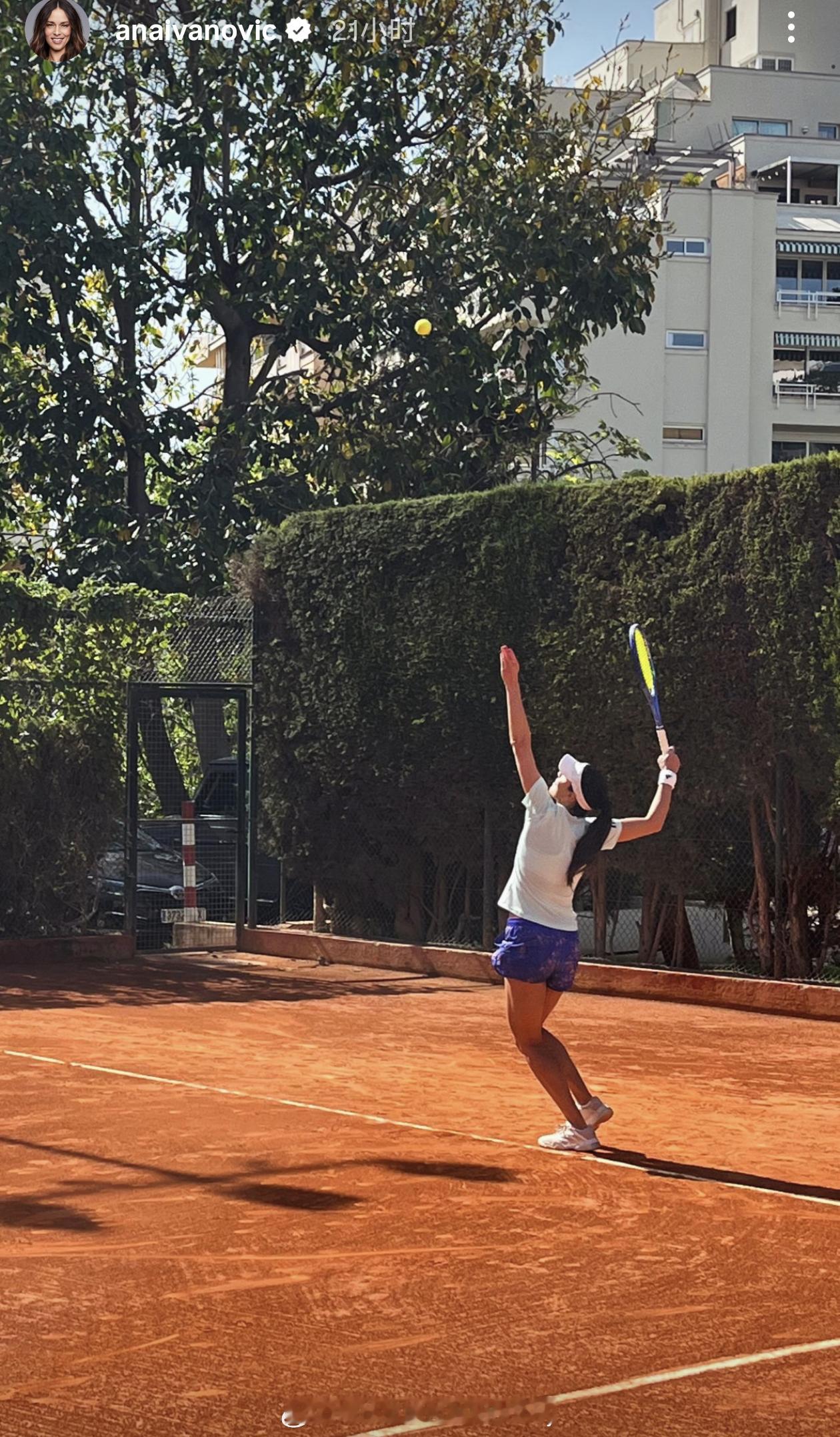 法网冠军🏆安娜准备复出吗❓网球wta