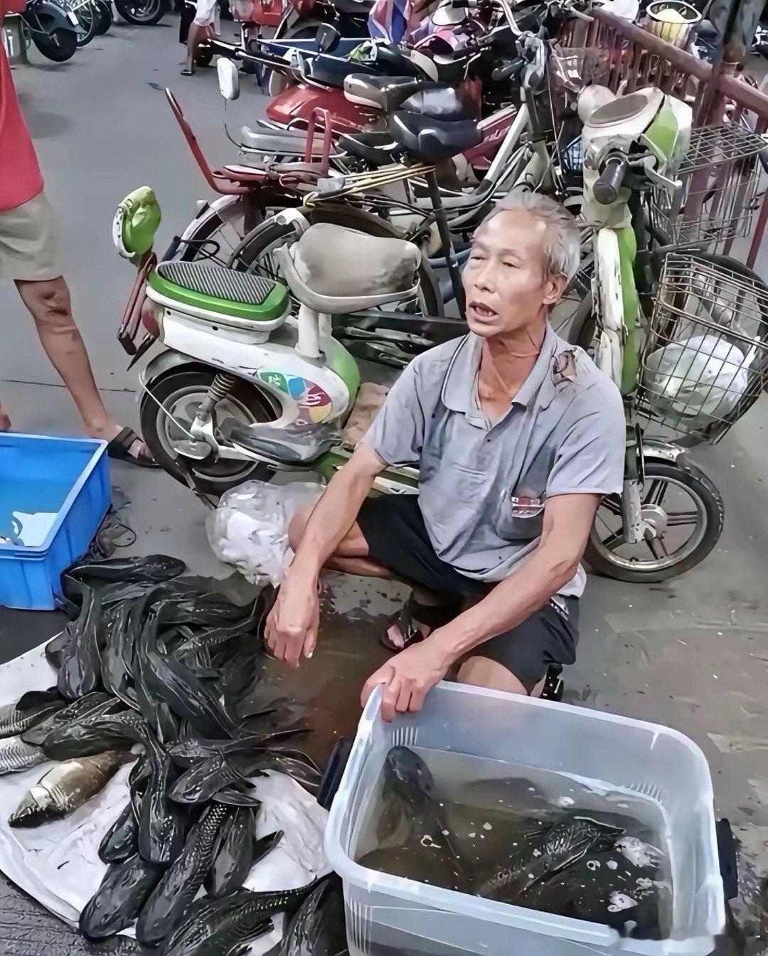 纯野生，也没骗人，怎么就卖不掉呢？​​​