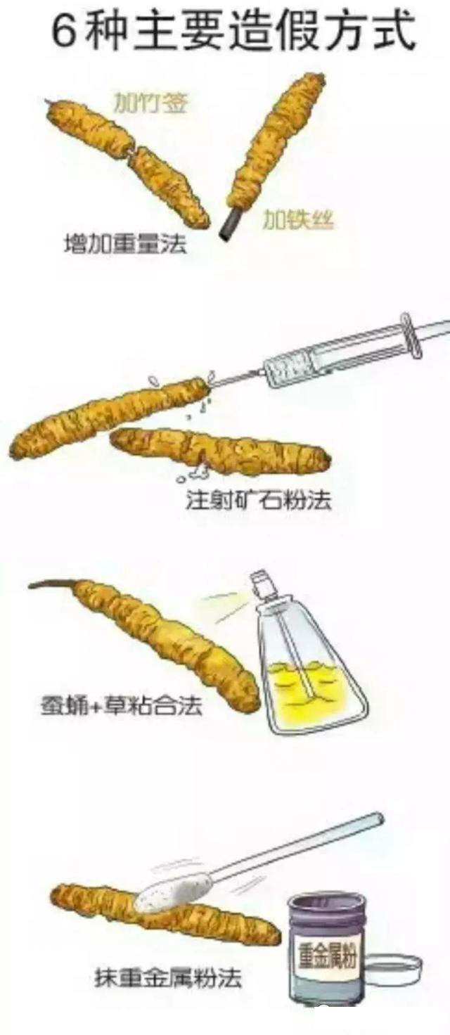看完你还敢吃低价的冬虫夏草吗? 你吃的可能是最贵的毒