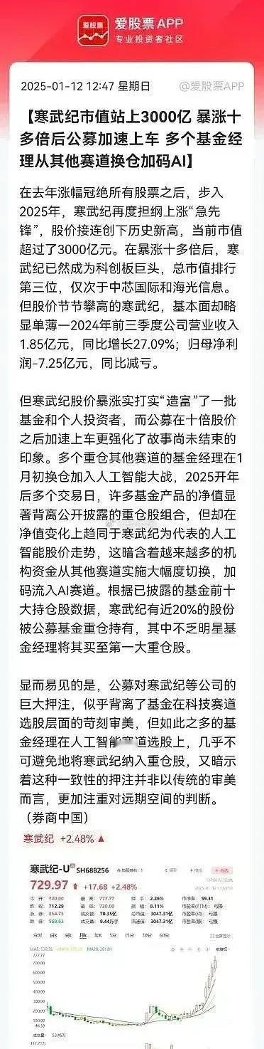 人工智能（AI）科技股的泡沫会不会在已经涨了10倍之多的寒武纪股票身上发生呢？追