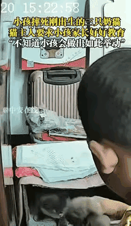 “这孩子咋这么狠心！”河北一女子让外甥进卧室看刚生的三只小猫，等她忙完回来，小猫