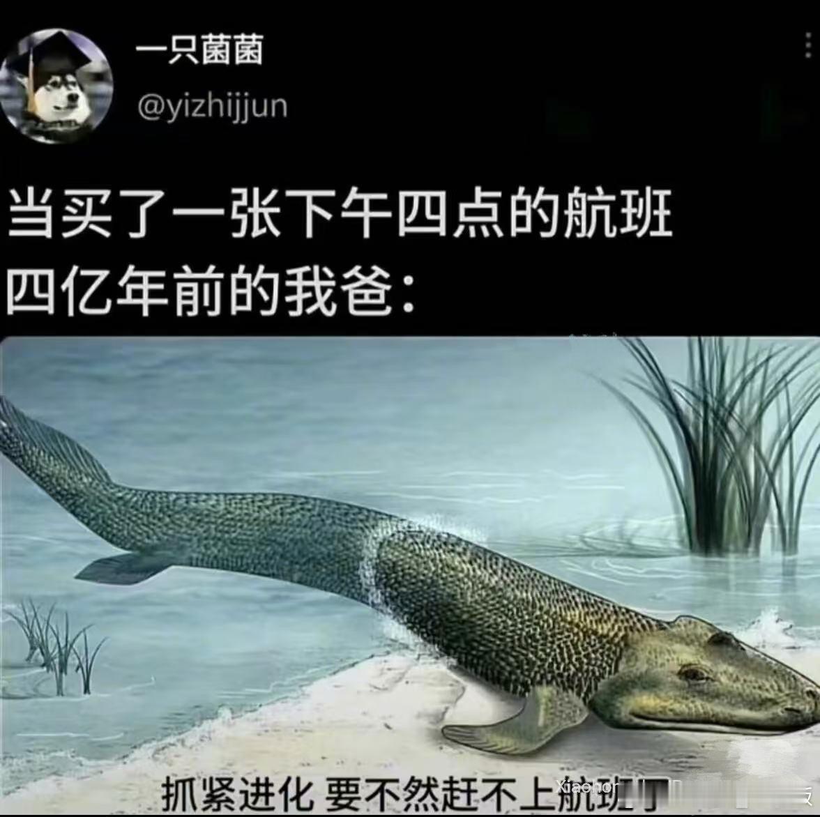 最近有在家庭群反复试探我爹的底线[并不简单]​​​